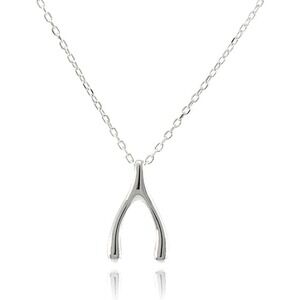 Silver Wishbone Necklace‎ Dainty